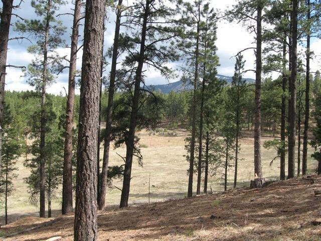 Lot6 Unit9 Sierra Los Pinos - Photo 1