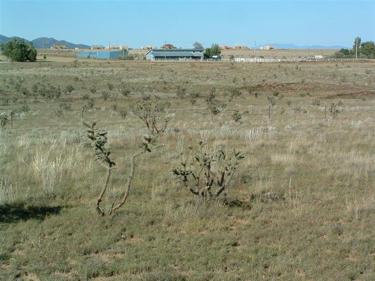 14 Venus Road - Photo 1