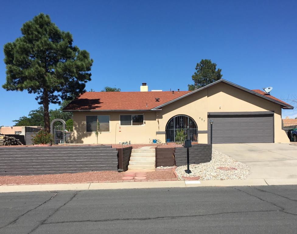 407 Cabeza Negra Drive - Photo 1