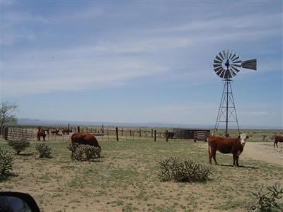 Cordova Ranch - Photo 1
