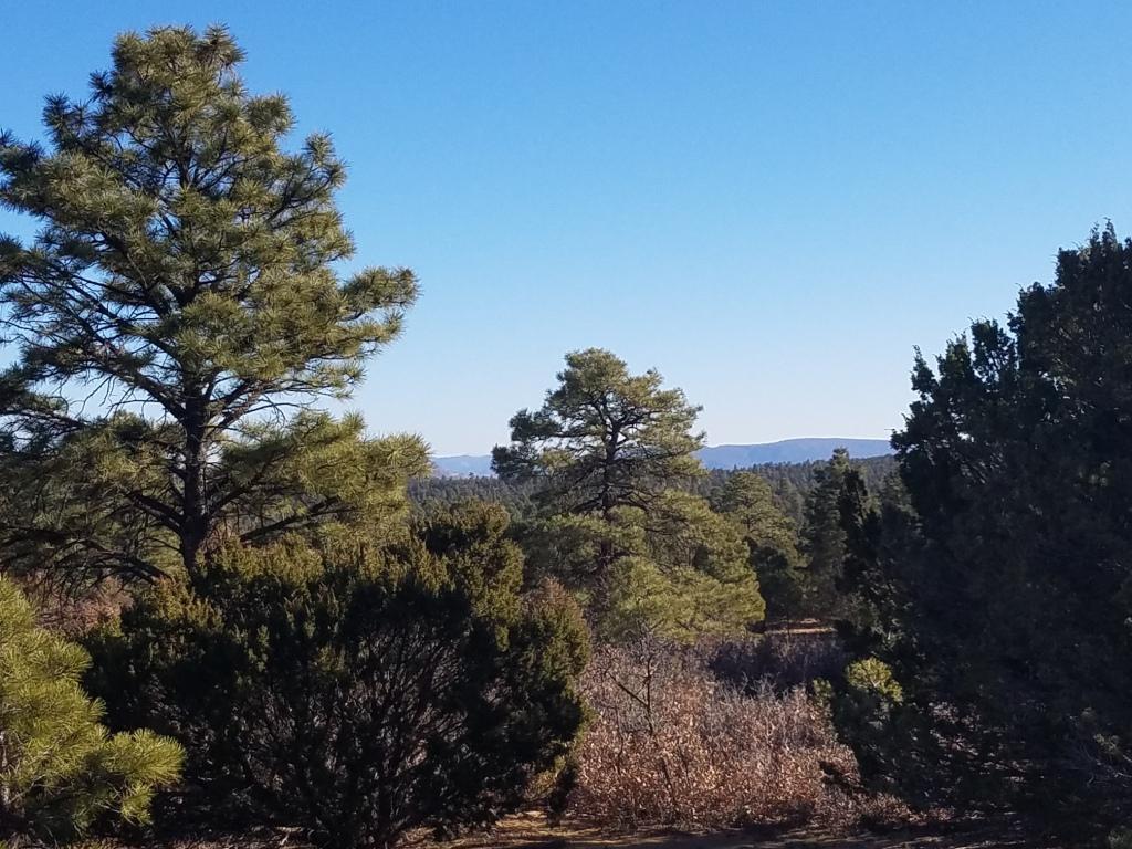 U2 Lot 20 Wild Horse Ranch Road - Photo 1