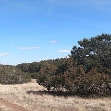 Nm Highway 337 - Photo 1
