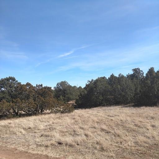 0 Country Road - Photo 1