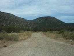 1696 Deer Canyon Trail - Photo 1