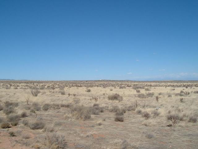 1600 31st (U21b7l8 Avenue - Photo 1