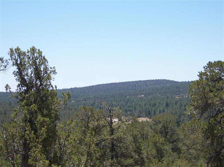 220 Upper Juan Tomas Road - Photo 1 220 Upper Juan Tomas Road - Photo 1