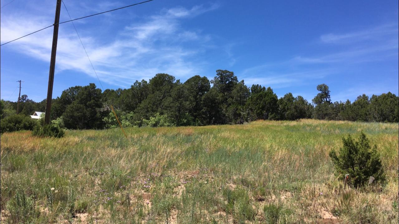 Ballenger Ranch Road - Photo 1 Ballenger Ranch Road - Photo 1