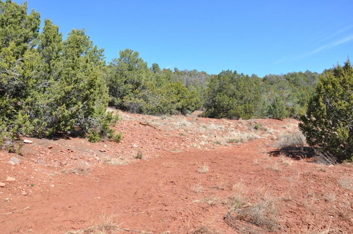 67 Vallecitos Road - Photo 1