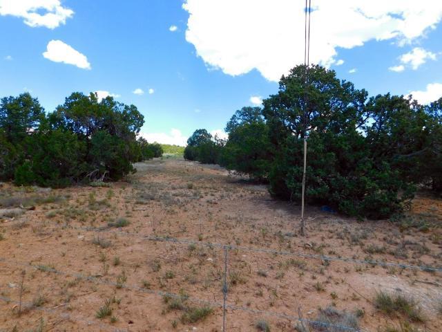 10 Meadow Land Court - Photo 1