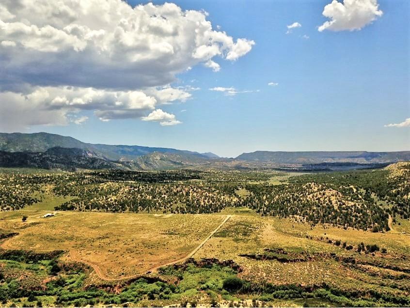 000 County Road 11 - Photo 1