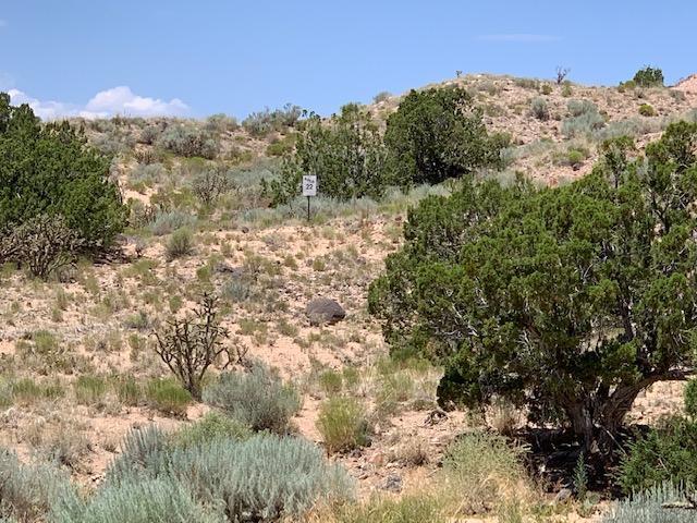 2311 Desert Zinnia Road - Photo 1