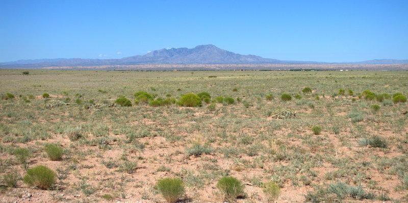 Vl Tierra Grande - Photo 1