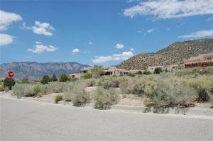 4916 Cresta Del Sur Court - Photo 1