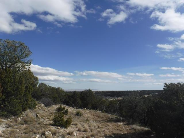 Morper Road - Photo 1 Morper Road - Photo 1