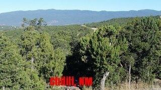 Nm 337 - Photo 1