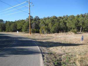 115 Via Sedillo Road - Photo 1
