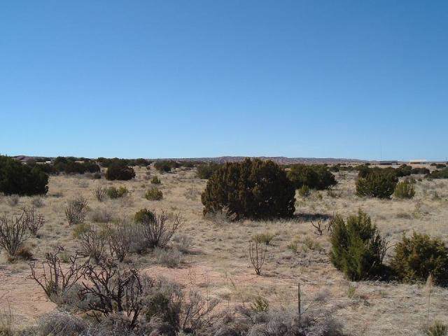 6230 Greystone (U25b28l28) Loop - Photo 1