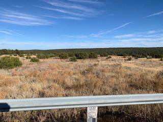 0 Hwy 217 - Photo 1