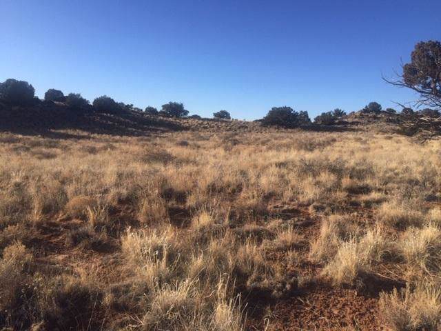 67 Enchanted Mesa Trail - Photo 1