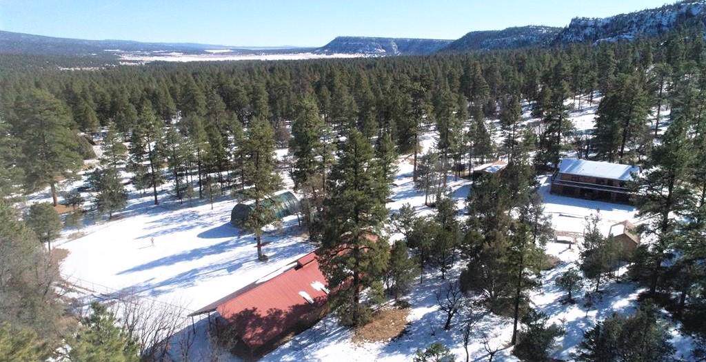 55 Aspen Loop - Photo 1