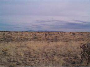 4600 2 - Photo 1