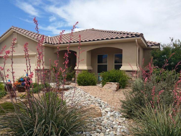905 Prairie Zinnia Drive - Photo 1