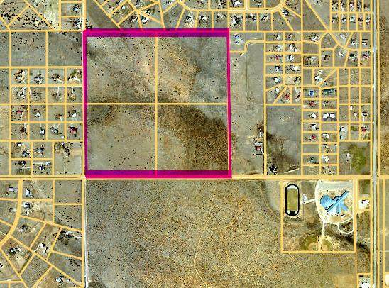 Venus & Horton (40 Acres) Road - Photo 1