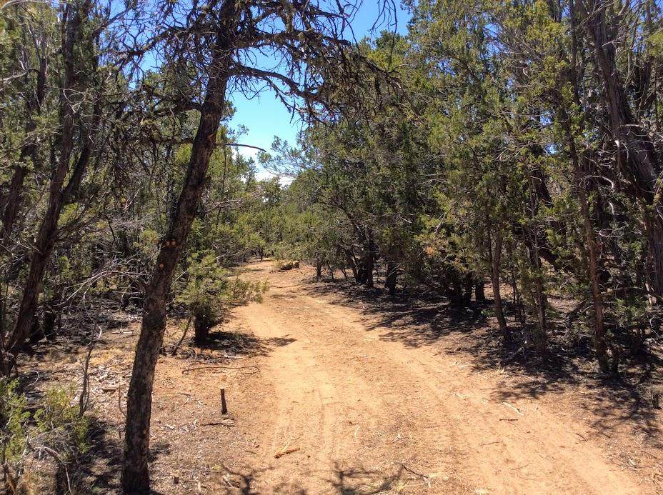 79 Sundance Kid Road - Photo 1 79 Sundance Kid Road - Photo 1