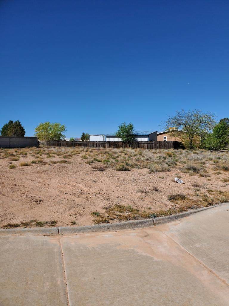 705 Desi Loop - Photo 1