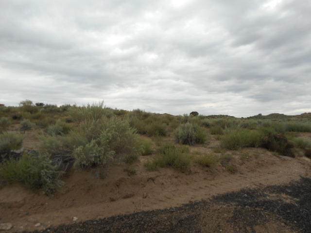 1521 Nez Perce (U17 B70 L22) Loop - Photo 1