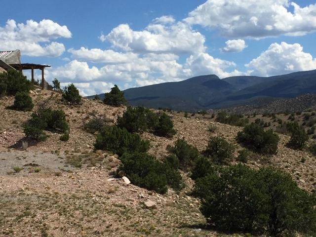 Camino Halcon - Photo 1