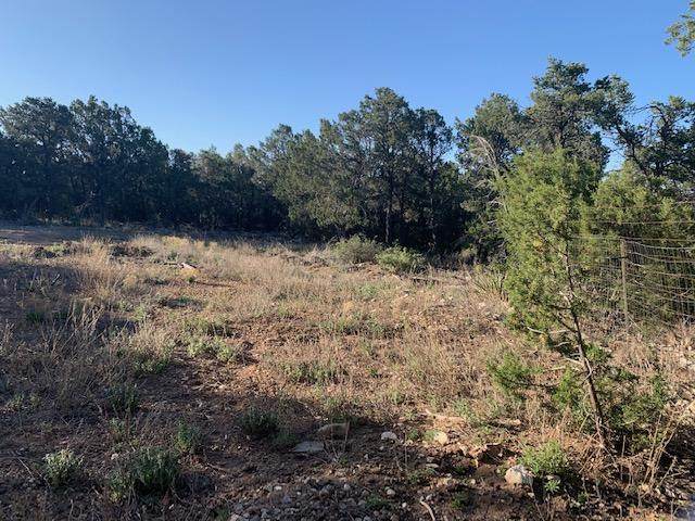 113 Sundance Kid Road - Photo 1 113 Sundance Kid Road - Photo 1
