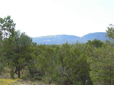 73 Canyon Ridge Drive - Photo 1