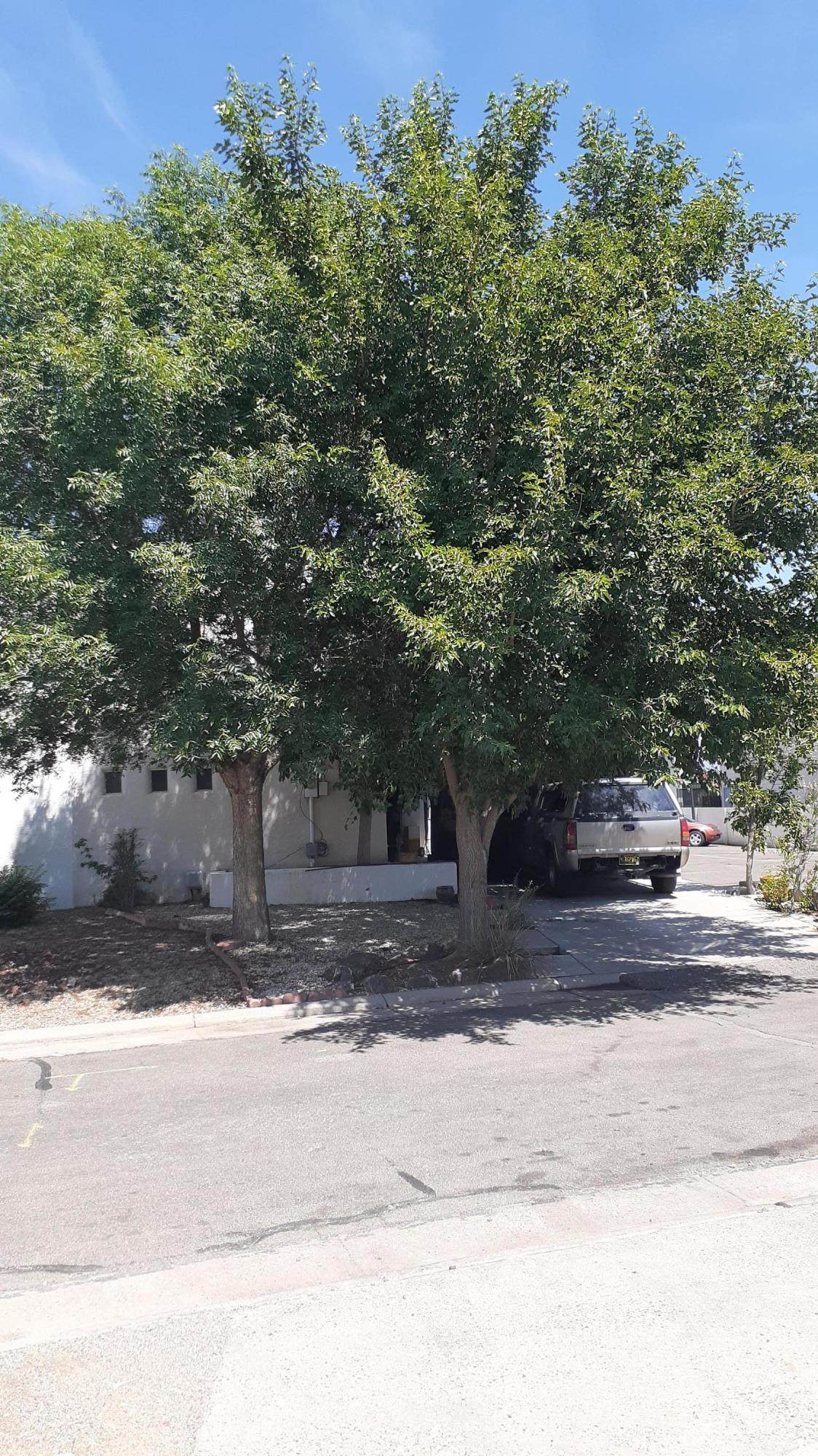 50 Calle Loma Parda - Photo 1