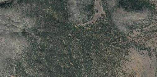 15 Camino San Pedros Road - Photo 1