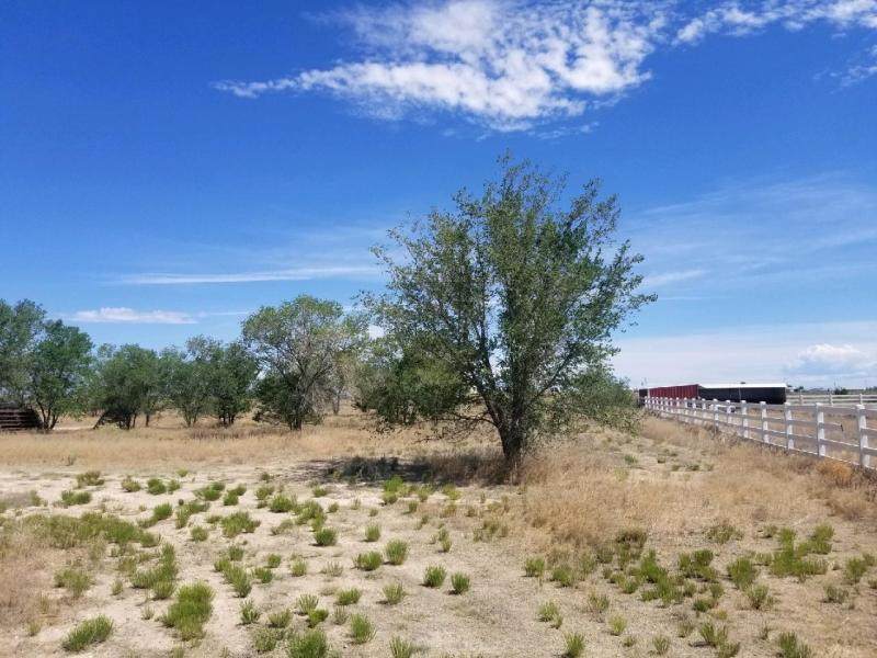 134 Mi Ranchito Road - Photo 1