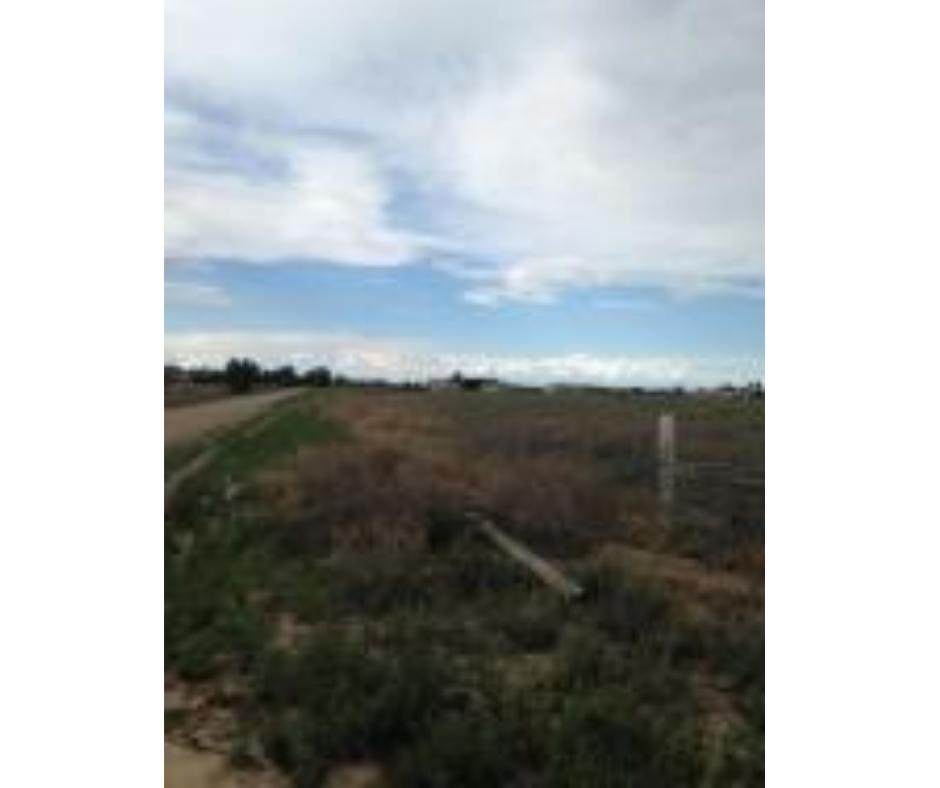 20 Shondale Lane - Photo 1