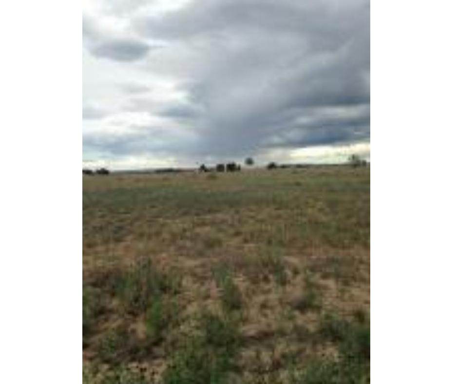 Tract C Meadow Road - Photo 1