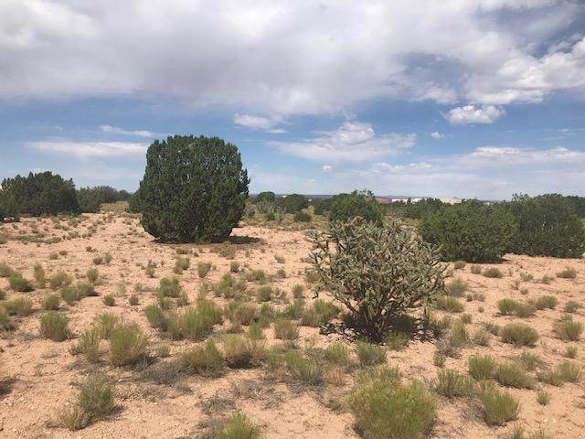 TBD Palomino Road - Photo 1