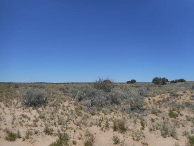 2134 Burgess (U21b49l6) - Photo 1