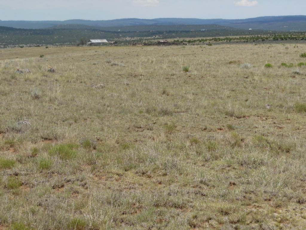 8980 Highway 55 - Photo 1