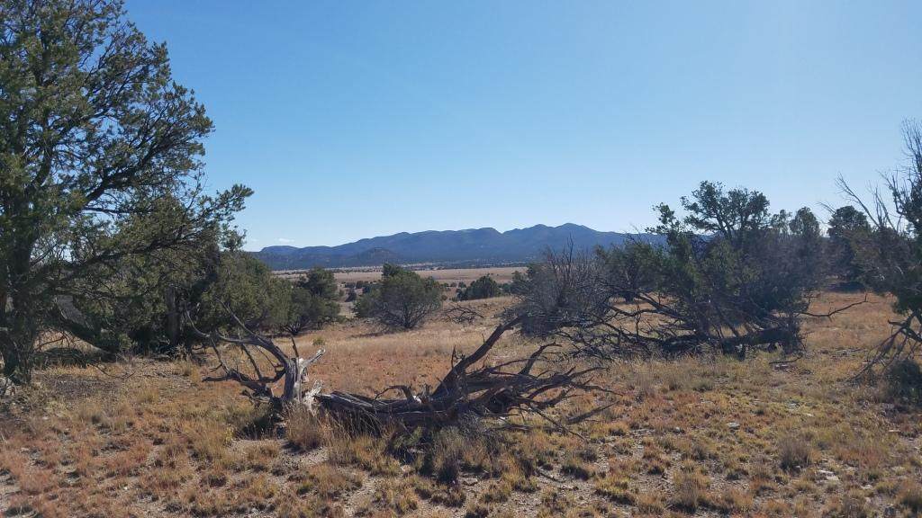 977 Greens Gap Road - Photo 1