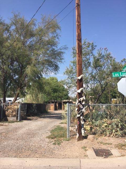 2816 Camilo Lane - Photo 1