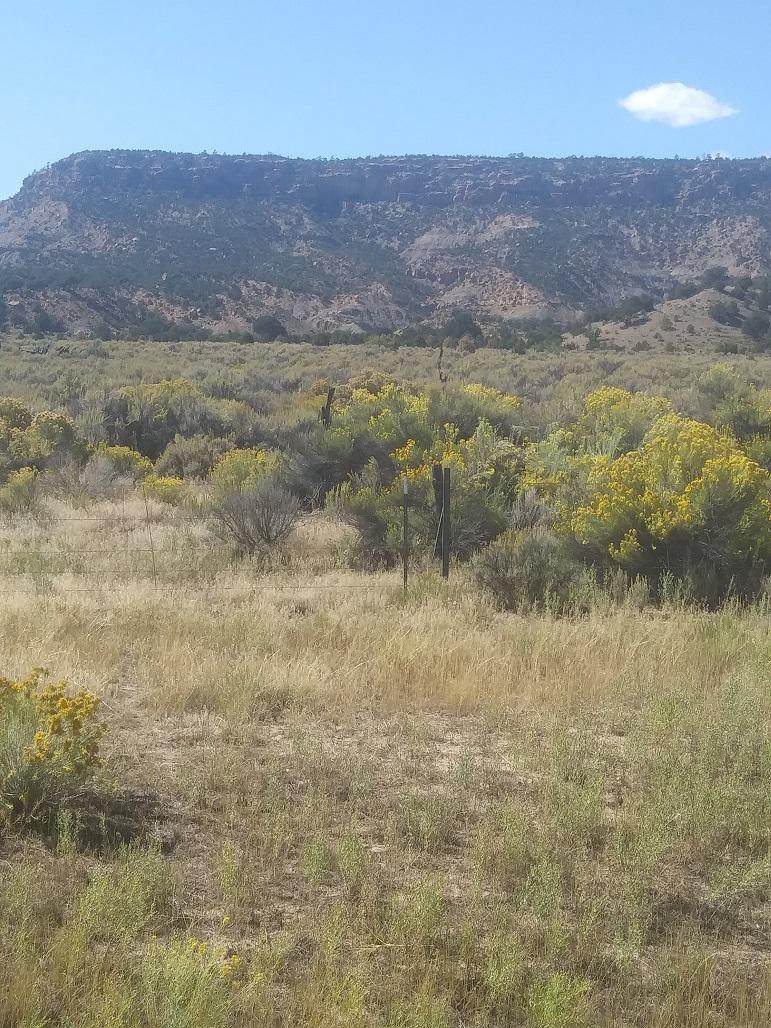 243 Nm Highway 197 Road - Photo 1
