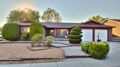 12101 Genoa Street - Photo 1