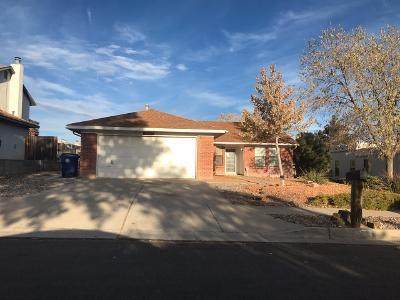 8004 Wagon Mound Drive - Photo 1