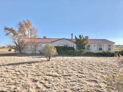 38 Lora Lane - Photo 1