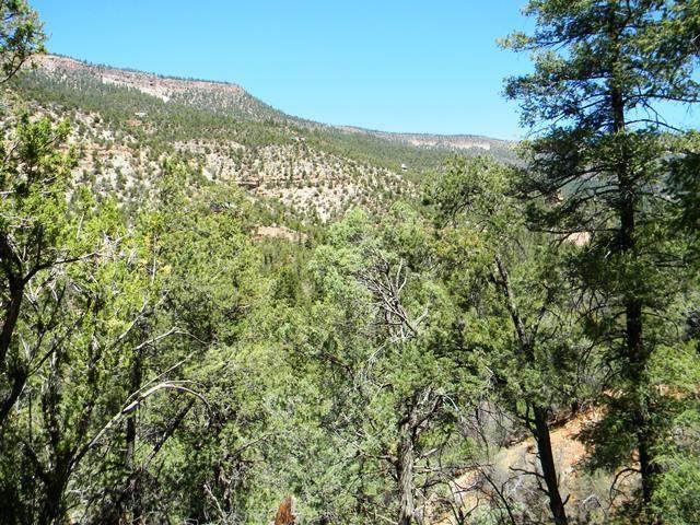 River Drive - Photo 1