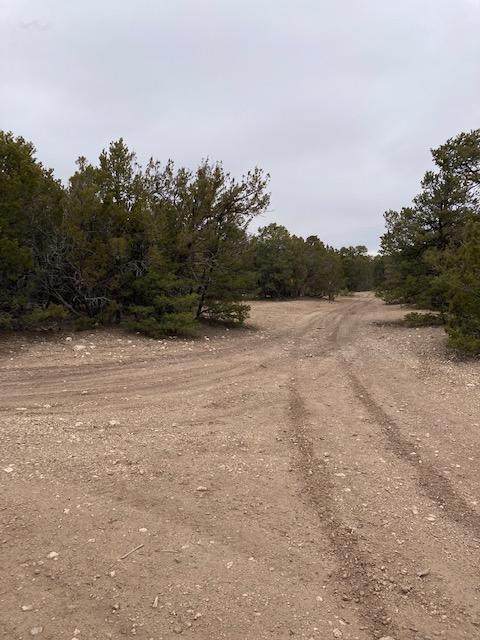 Sedillo Hill - Photo 1