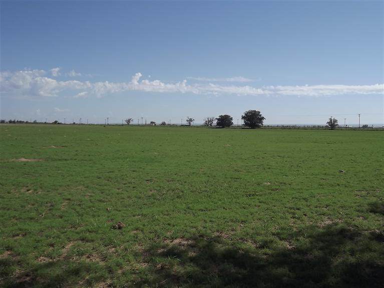 1560 Nm-41 - Photo 1